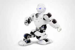 优必选 康复辅具适配服务增长背后的技术隐忧